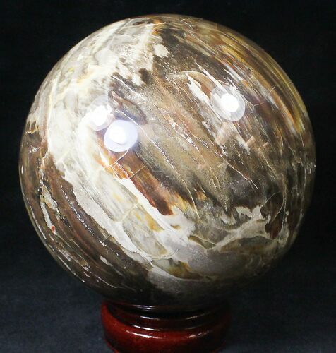 Colorful Petrified Wood Sphere #20598